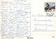 OISEAU Animaux Vintage Carte Postale CPSM #PAM678.FR - Oiseaux