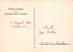PÈRE NOËL NOËL Fêtes Voeux Vintage Carte Postale CPSM #PAJ593.FR - Santa Claus