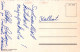 FLORES Vintage Tarjeta Postal CPSMPF #PKG038.ES - Blumen