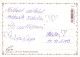 FLORES Vintage Tarjeta Postal CPSM #PBZ802.ES - Flowers