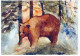 OSO Animales Vintage Tarjeta Postal CPSM #PBS341.ES - Osos