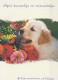 PERRO Animales Vintage Tarjeta Postal CPSM #PBQ443.ES - Dogs