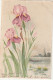 OP 24- CARTE FANTAISIE - IRIS ET NENUPHARS - 2 SCANS - Flowers