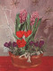 FLOWERS Vintage Postcard CPSM #PAS392.GB - Flowers
