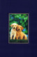 DOG Animals Vintage Postcard CPSM #PAN613.GB - Chiens