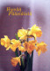 FLOWERS Vintage Postcard CPSM #PAR069.GB - Bloemen