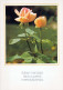 FLEURS Vintage Carte Postale CPSM #PBZ561.FR - Flowers
