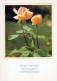 FLEURS Vintage Carte Postale CPSM #PBZ561.FR - Fleurs