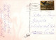 FLEURS Vintage Carte Postale CPSM #PBZ743.FR - Fleurs