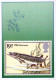 POISSON Animaux Vintage Carte Postale CPSM #PBS867.FR - Pescados Y Crustáceos