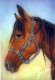 CHEVAL Animaux Vintage Carte Postale CPSM #PBR956.FR - Horses