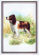 CHIEN Animaux Vintage Carte Postale CPSM #PBQ374.FR - Chiens