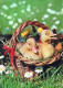 PÂQUES ŒUF Vintage Carte Postale CPSM #PBO223.FR - Easter