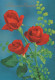 FIORI Vintage Cartolina CPSM #PAR975.IT - Flowers
