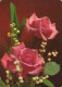 FIORI Vintage Cartolina CPSM #PAS156.IT - Flowers