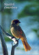 UCCELLO Animale Vintage Cartolina CPSM #PAM744.IT - Birds