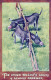 DONKEY Animals Vintage Antique Old CPA Postcard #PAA154.GB - Ezels