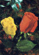 FLOWERS Vintage Postcard CPSM #PBZ439.GB - Blumen