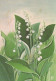 FLOWERS Vintage Postcard CPSM #PBZ379.GB - Fleurs