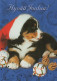 DOG Animals Vintage Postcard CPSM #PBQ574.GB - Chiens