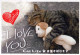CAT KITTY Animals Vintage Postcard CPSM #PBQ958.GB - Chats