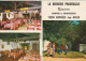 PE 2-(13) RAPHELE LES ARLES - RESTAURANT " LA BERGERIE PROVENCALE " - CAMPING - CARTE MULTIVUES COULEURS- 2 SCANS - Other & Unclassified