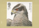 UCCELLO Animale Vintage Cartolina CPSM #PBR684.IT - Birds