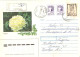 Ukraine:Ukraina:Registered Letter From Bojarka With Stamps, 1993 - Ucrania