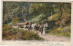 PE 18 -" A FOREST GIANT' S FUNERAL "- ATTELAGE DE CHEVAUX - TRANSPORT D' UN ARBRE  (1905) - 2 SCANS - Farmers