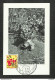 CONGO BELGE - BELGISCH CONGO - Carte MAXIMUM 1958 - Palais Du CONGO BELGE Et Du RUANDA-URUNDI - Fleurs - HIBISCUS - Autres & Non Classés