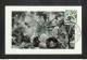 CONGO BELGE - BELGISCH CONGO - Carte MAXIMUM 1958 - Palais Du CONGO BELGE Et Du RUANDA-URUNDI - Fleurs - THUNBERGIA - Autres & Non Classés