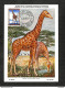 CONGO BELGE - BELGISCH CONGO - Carte MAXIMUM 1959 - La Girafe - Andere & Zonder Classificatie