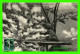 SHIP, BATEAUX, GUERRE " LA CORONNE " CATASTROPHE A BORD, UN CANON QUI EXPLOSE - PHOTOTYPIE MARINS BAR - CIRCULÉE 1908 - - Guerre