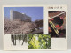 New Takanawa Prince Hotel, Minato City, Tokyo , JAPAN JAPON POSTCARD - Tokyo