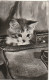 Delcampe - OP Nw35- LOT DE 8 CARTES A SYSTEME , SONORES ( POUET POUET ) - ANIMAUX : CHATONS , POUSSINS , OISEAUX , CHIOT - Mechanical