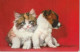 Delcampe - OP Nw35- LOT DE 8 CARTES A SYSTEME , SONORES ( POUET POUET ) - ANIMAUX : CHATONS , POUSSINS , OISEAUX , CHIOT - Mechanical