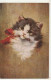 OP Nw36- PORTRAIT DE CHATON - ILLUSTRATEUR KOGL - Cats