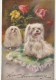 OP Nw36- " JOYEUX ANNIVERSAIRE " - COUPLE DE CHIENS LHASSA APSO  - Compleanni