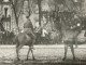 LUXEMBOURG AMERICAN HORSE SHOW  27 02 1919 Ww1 1ere Guerre Mondiale 1914 1918 1. Weltkrieg Soldats USA - Luxemburg - Town