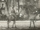 LUXEMBOURG AMERICAN HORSE SHOW  27 02 1919 Ww1 1ere Guerre Mondiale 1914 1918 1. Weltkrieg Soldats USA - Luxemburg - Stadt