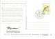 Cpm Carte Archives 1er Jour D'Emission - Poissons De L'Océan, Perche  ( Tirage Limité)  (PHIL) - Andere & Zonder Classificatie