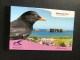 3 Different Guernsey Birds Booklets MNH Face £33.92 - Guernesey