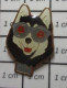 3617 Pin's Pins / Beau Et Rare / ANIMAUX / CHIEN DE TRAINEAU AVEC LUNETTES DE SOLEIL - Animals