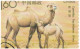 Wild Bactrian Camel, Mongolian Camel, Two Humps On Its Back, Endangered Species Of Camel, Wild Animal, Special Stamp FDC - Sonstige & Ohne Zuordnung