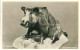 225  Traite De Fourrures, Chasse: Flamme D'Allemagne, 1930 - Fur Trade And Hunt Exhibition: Slogan Cancel From Leipzig - Autres & Non Classés
