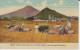 Mexico, Modern American Binders Near The Pyramids Of Cholula. Mount Popocatepelt In The Distance  Village Oxen  Animatio - Cultures