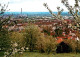 73724392 Handschuhsheim Handschuhsheier Feld Blick Von Der Leimengrube Handschuh - Heidelberg