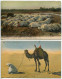 ALGÉRIE LOT 2 Cartes  : La Grande Prière 3e Phase Et La Prière Au Désert  (chameau ) Colorisées - 1ère Voyagé 1938 - Scenes