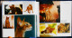 Delcampe - LES CHATS - ( 1001 Photos ) - SOLAR - ( 2007) . - Animales