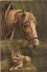 RE 19- CHEVAL AVEC FOIN DANS L' ECURIE ET CHIEN  - ILLUSTRATEUR MULLER - 2 SCANS - Paarden